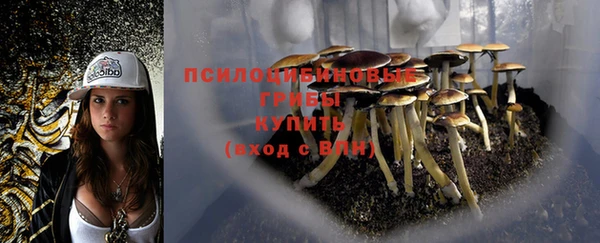 COCAINE Вяземский
