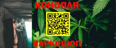 крисы Ливны