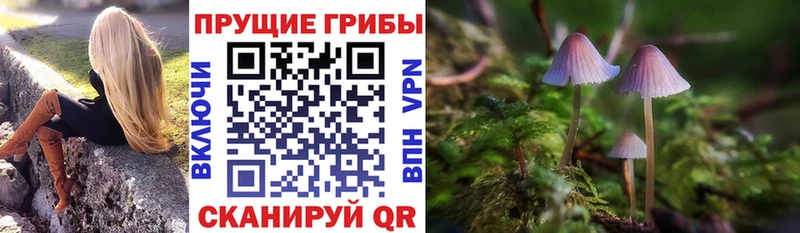 Галлюциногенные грибы мицелий  гидра зеркало  Елец 