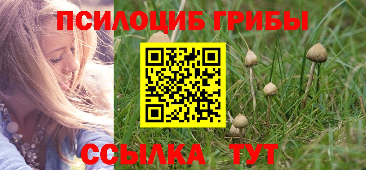 Псилоцибиновые грибы GOLDEN TEACHER  Вход с VPN  Елец 
